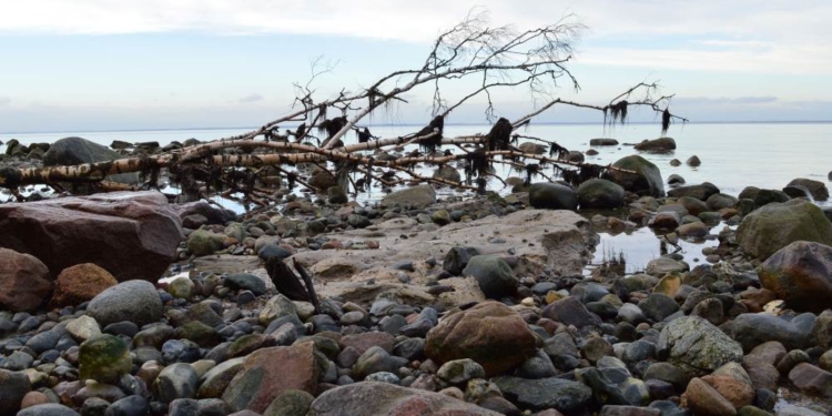 Geowissenschaftliche Tagestour auf Fehmarn