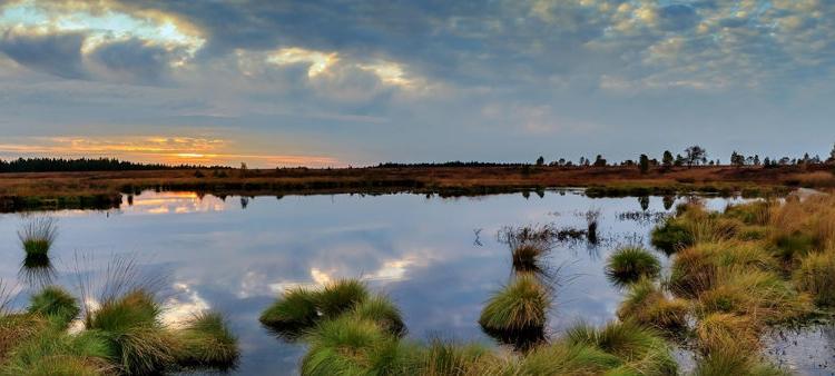 Moore in der Metropolregion Hamburg