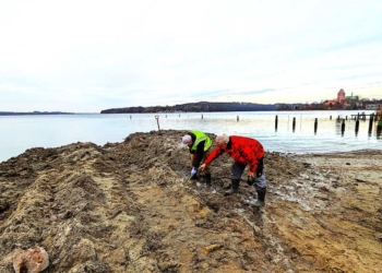Überreste von slawischer Siedlungsgeschichte an der Seebadestelle Schlosswiese