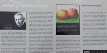 Wanderung zu den Korbinians-Apfelbäumen für Meinungsfreiheit und Erinnerung