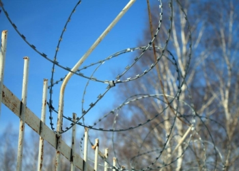 Hohe Belegungszahlen im Justizvollzug in Schleswig-Holstein – Maßnahmen eingeleitet