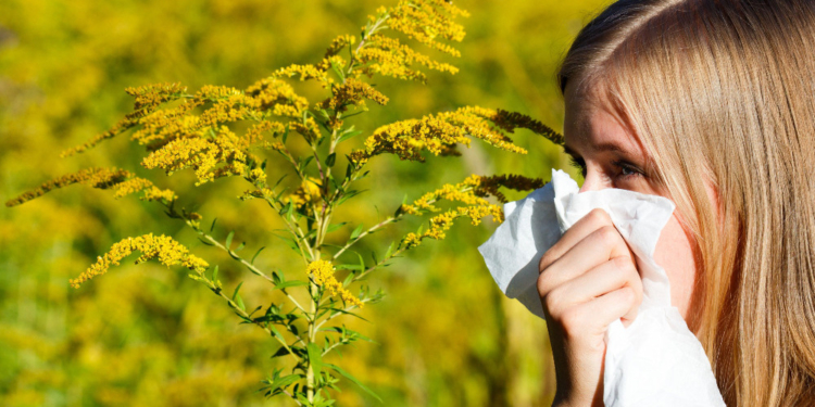 Erste Haselpollen lösen allergische Atemwegserkrankungen aus