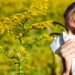 Erste Haselpollen lösen allergische Atemwegserkrankungen aus