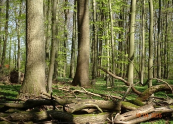 Diskussion: Landnutzung vs. Naturschutz,Klimakrise, Biodiversitätskrise, Überlebenskrise