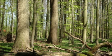 Diskussion: Landnutzung vs. Naturschutz,Klimakrise, Biodiversitätskrise, Überlebenskrise