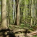 Diskussion: Landnutzung vs. Naturschutz,Klimakrise, Biodiversitätskrise, Überlebenskrise