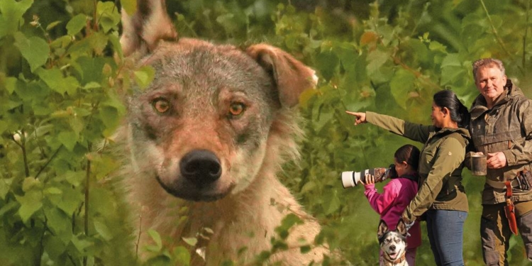 Vortrag ‚Wolfswelten‘ in der Priesterkate