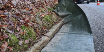 Plötzlich ist „Froschwetter“