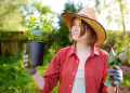 Ungetrübter Start in die Gartensaison