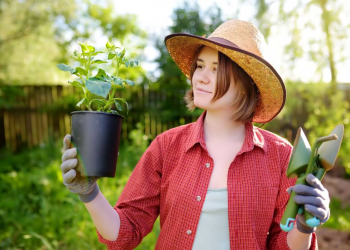 Ungetrübter Start in die Gartensaison