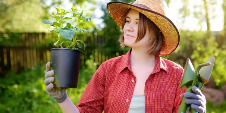 Ungetrübter Start in die Gartensaison