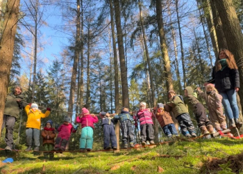 25 Jahre Waldmäuse in Mölln: Ein Vierteljahrhundert Naturerlebnis