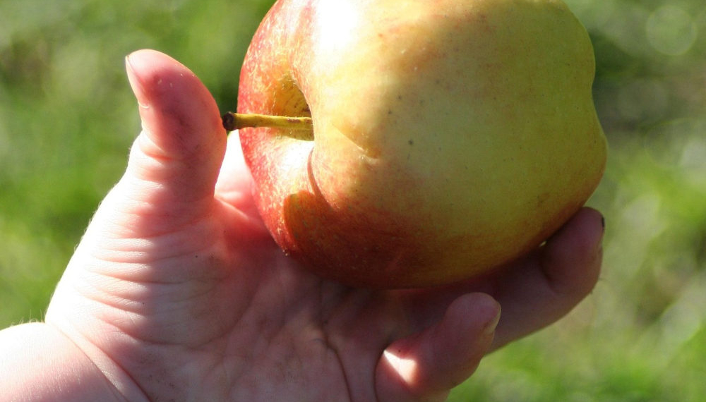 Kalennerspruch op Platt