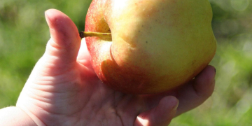 Kalennerspruch op Platt