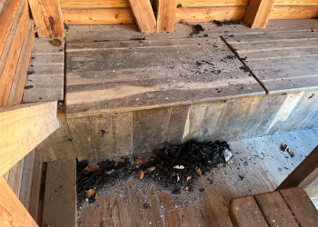 Erneute Sachbeschädigung im Umweltzentrum Uhlenkolk