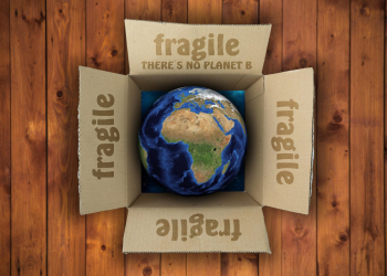 Sechs Wochen für den Klimaschutz