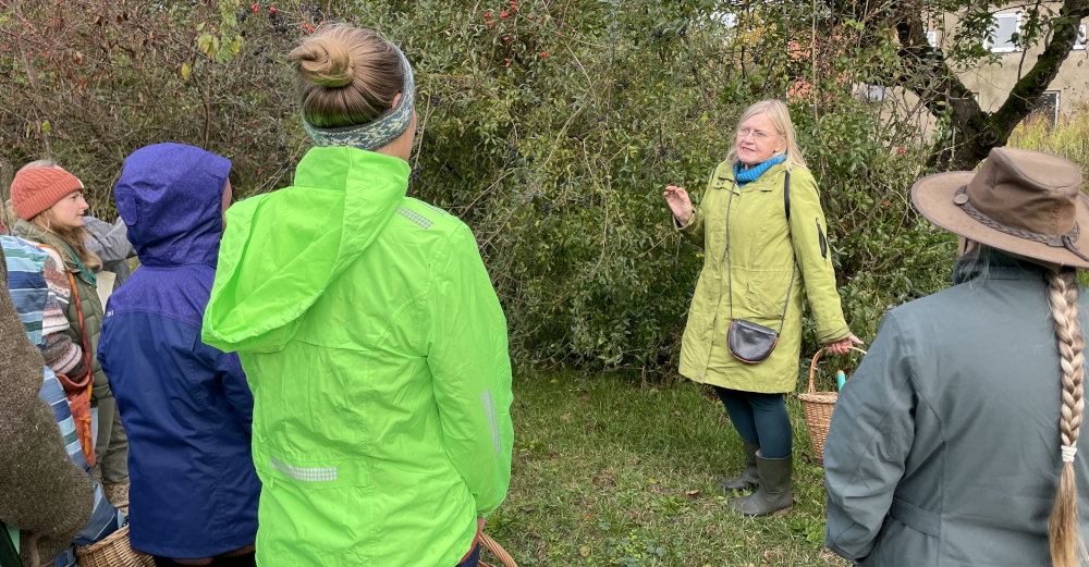 Führung „Gesund und lecker oder giftig: Erste Frühjahrskräuter sicher erkennen“