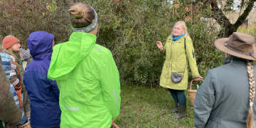 Führung „Gesund und lecker oder giftig: Erste Frühjahrskräuter sicher erkennen“