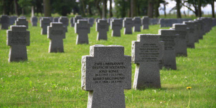 „Demokratie stärken – Erinnerung wachhalten“ – ein wichtiger Beitrag für 80 Jahre Kriegsende