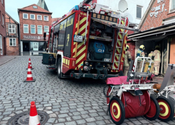 22 Einsätze forderten die ehrenamtlichen Helfer der Möllner Feuerwehr