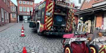 22 Einsätze forderten die ehrenamtlichen Helfer der Möllner Feuerwehr