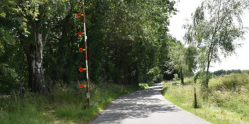 Krötenwanderung – Schranke wird nachts geschlossen