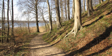 Auf Entdeckungstour im Frühlingswald