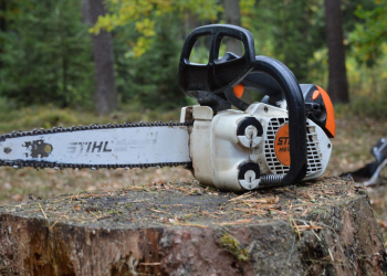 Büchen: Baumpflegemaßnahmen in der Möllner Straße