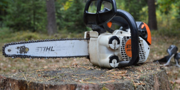 Büchen: Baumpflegemaßnahmen in der Möllner Straße