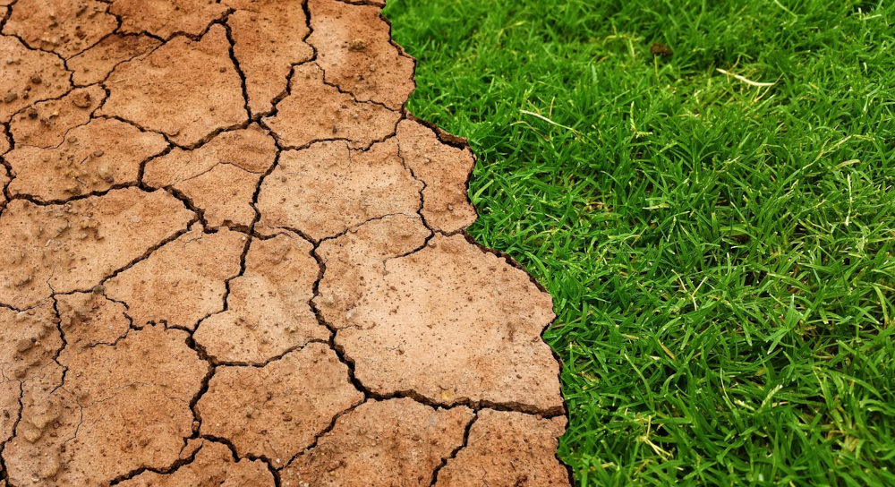 Rückblick auf den Klimathon 2025