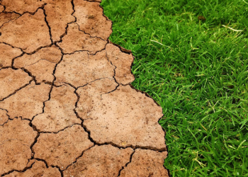 Rückblick auf den Klimathon 2025