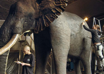 Dokumentation: ‚Archiv der Zukunft‘