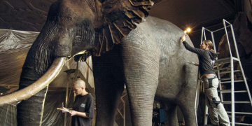 Dokumentation: ‚Archiv der Zukunft‘