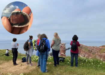 GeoPark Studienreise Helgoland