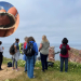 GeoPark Studienreise Helgoland