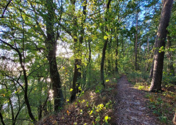 Geführte Radtour durch das ‚Hohe Elbufer‘