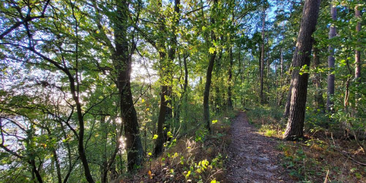 Geführte Radtour durch das ‚Hohe Elbufer‘