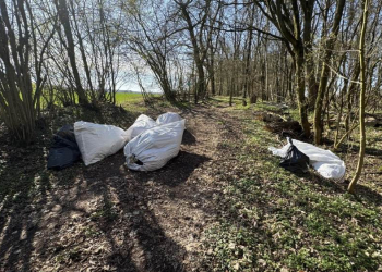 Erneute Abfallentsorgung auf einem Feldweg