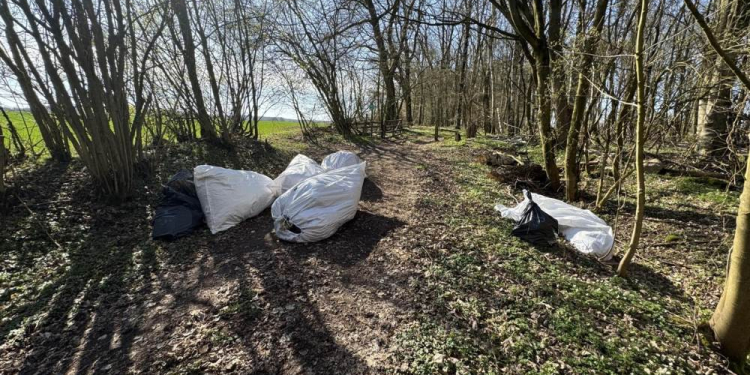 Erneute Abfallentsorgung auf einem Feldweg