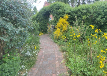 Breitenfelder Naturgarten lädt ein