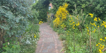 Breitenfelder Naturgarten lädt ein