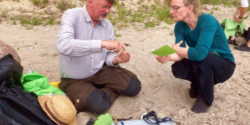 Sonne, Sand und Steine – Exkursionen zu Himmelfahrt