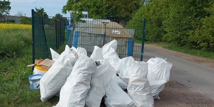 Müll richtig entsorgen