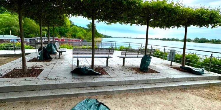 Vandalismus: Wassersäcke zur Baumpflege am Elbblick abgerissen