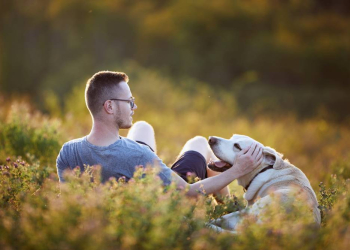 Der große Wunsch nach Haustieren