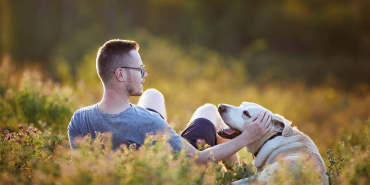 Der große Wunsch nach Haustieren