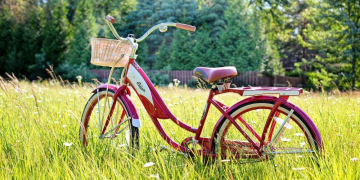 Schaalsee-Radeln: eine länderübergreifende Radtour