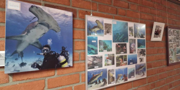 Natur pur: Fotoausstellung von Karola Thieme im Möllner Stadthaus