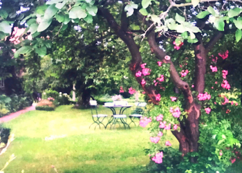 Lust auf eine kleine Landpartie?