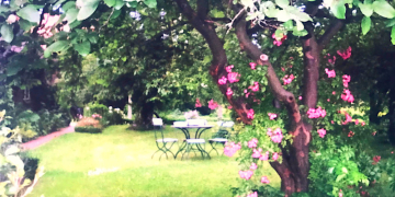 Lust auf eine kleine Landpartie?